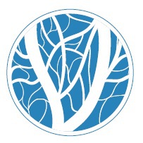 Vaskupien - Clnica Vascular